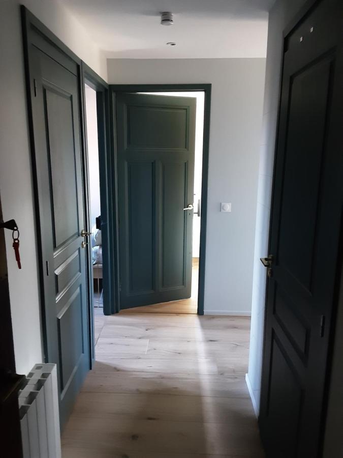 Charmant Appartement A 150 M Des Thermes Et Du Centre Ville Thonon-les-Bains Dış mekan fotoğraf