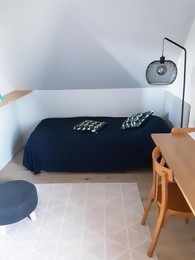 Charmant Appartement A 150 M Des Thermes Et Du Centre Ville Thonon-les-Bains Dış mekan fotoğraf