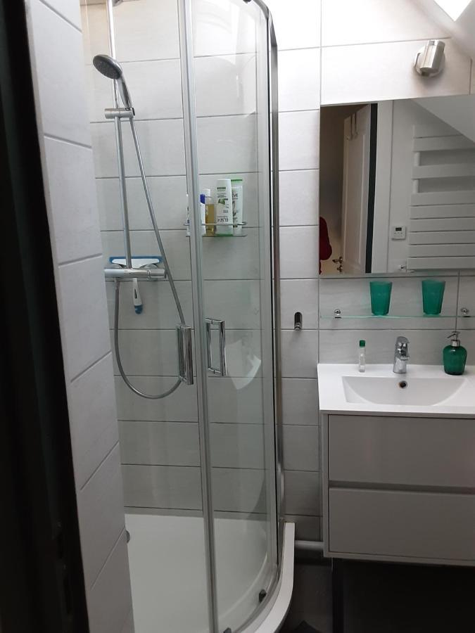 Charmant Appartement A 150 M Des Thermes Et Du Centre Ville Thonon-les-Bains Dış mekan fotoğraf