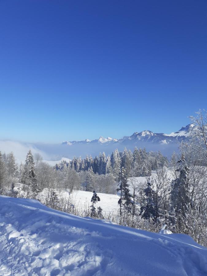 Charmant Appartement A 150 M Des Thermes Et Du Centre Ville Thonon-les-Bains Dış mekan fotoğraf