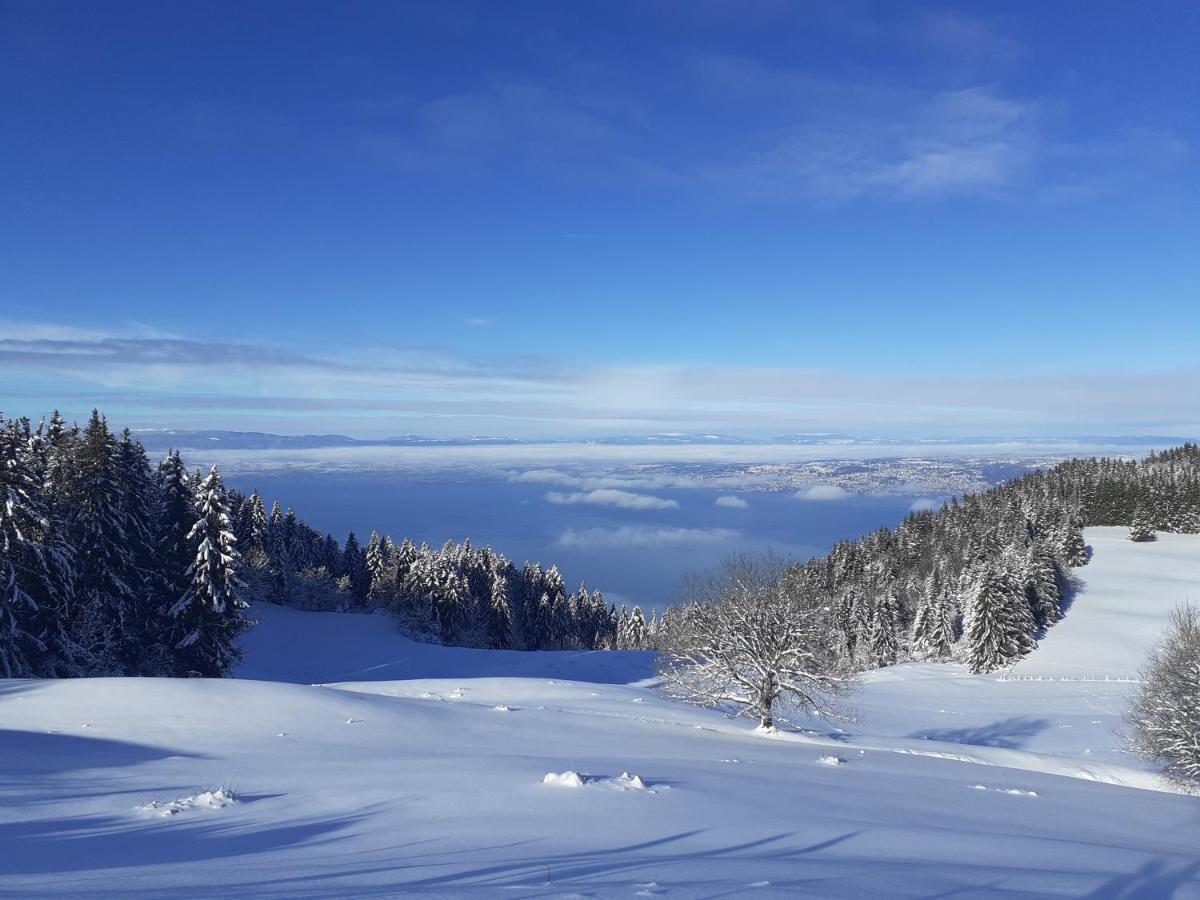 Charmant Appartement A 150 M Des Thermes Et Du Centre Ville Thonon-les-Bains Dış mekan fotoğraf