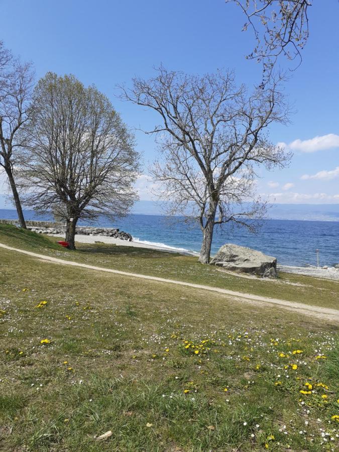 Charmant Appartement A 150 M Des Thermes Et Du Centre Ville Thonon-les-Bains Dış mekan fotoğraf
