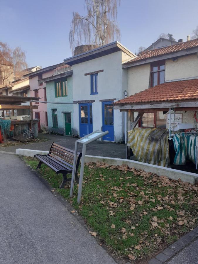Charmant Appartement A 150 M Des Thermes Et Du Centre Ville Thonon-les-Bains Dış mekan fotoğraf