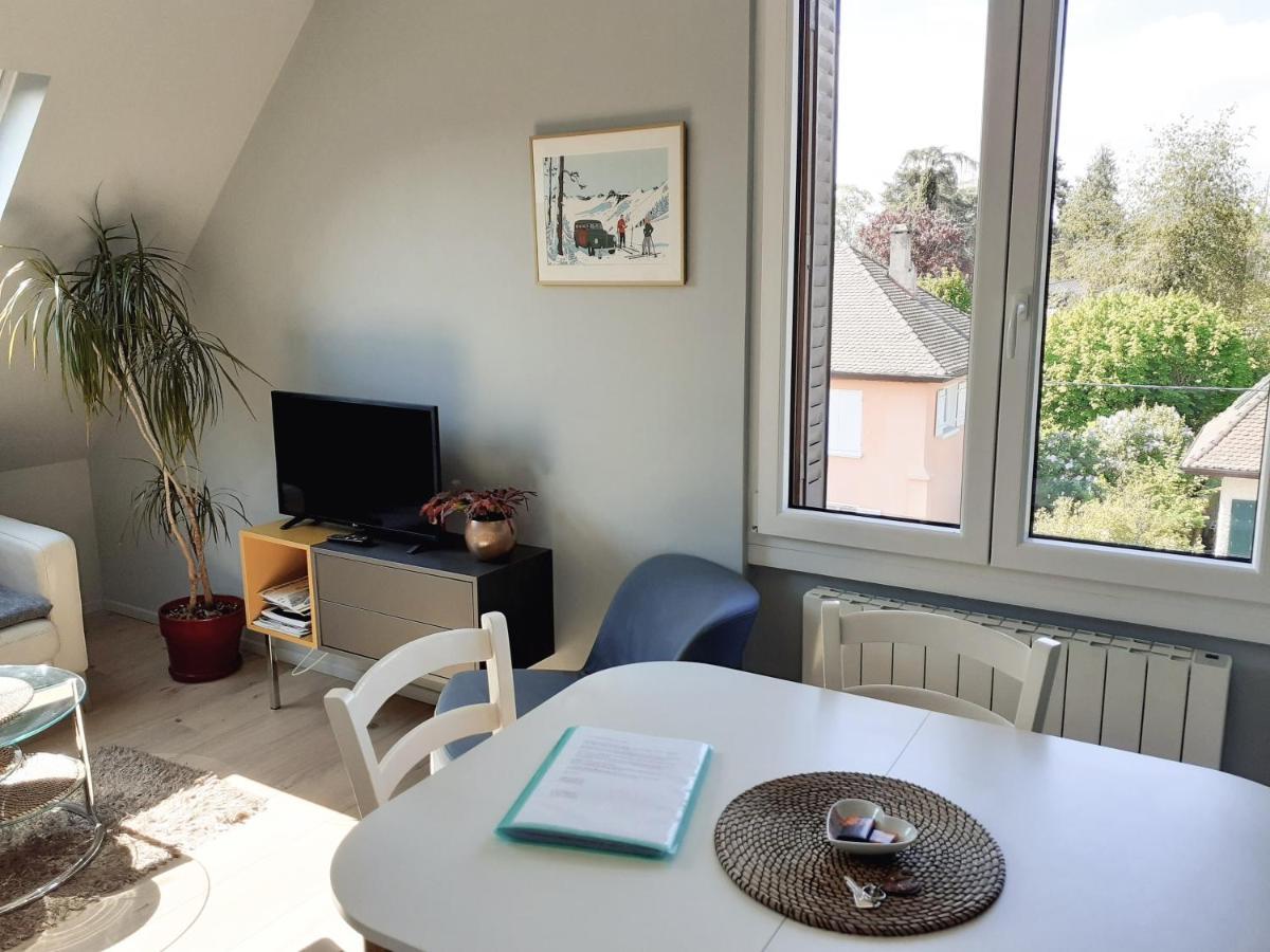 Charmant Appartement A 150 M Des Thermes Et Du Centre Ville Thonon-les-Bains Dış mekan fotoğraf