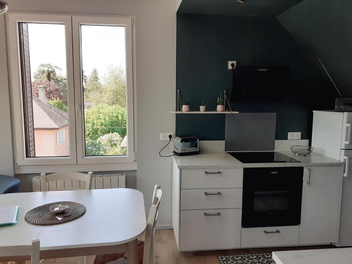Charmant Appartement A 150 M Des Thermes Et Du Centre Ville Thonon-les-Bains Dış mekan fotoğraf